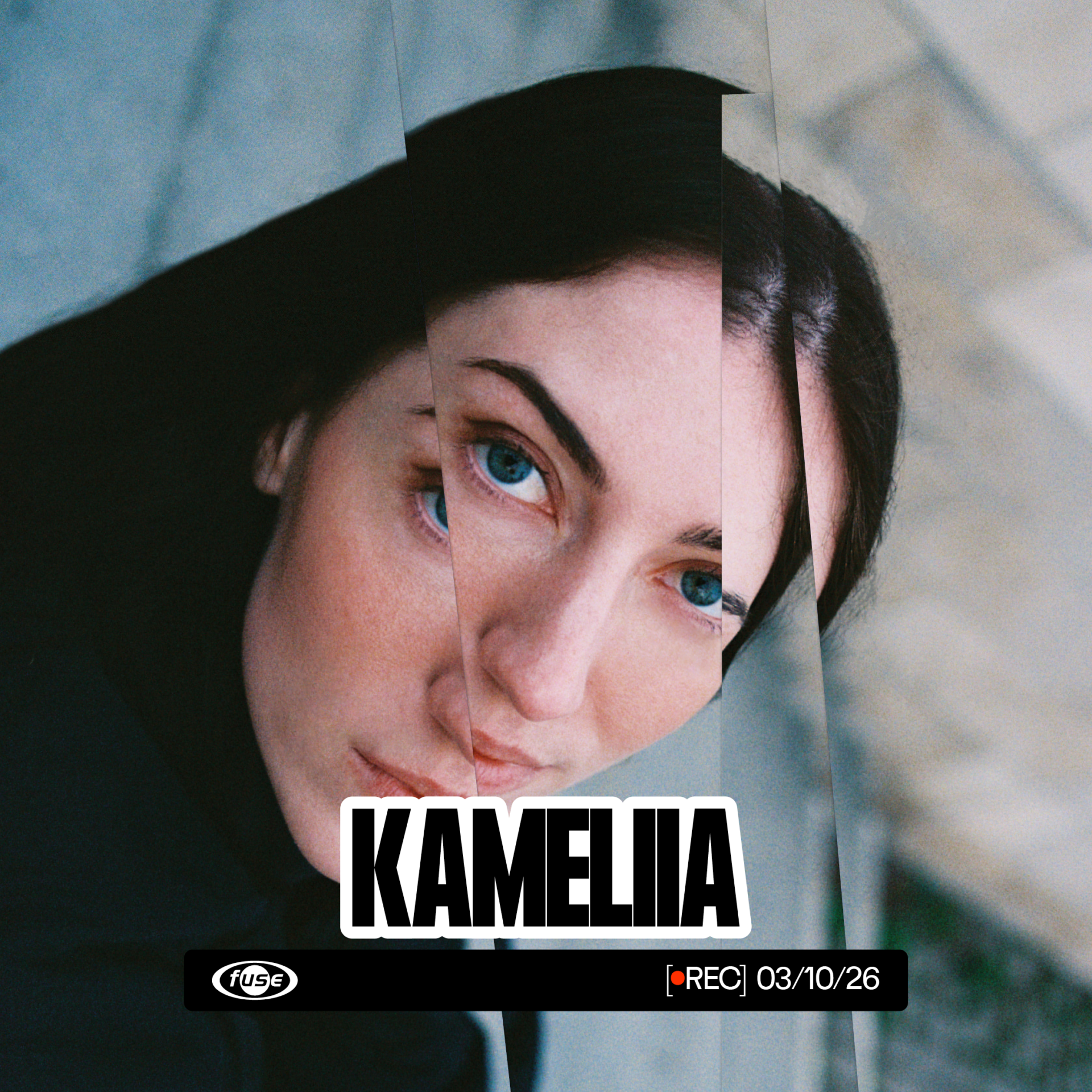 26 FUSE ON TEMP Kamellia